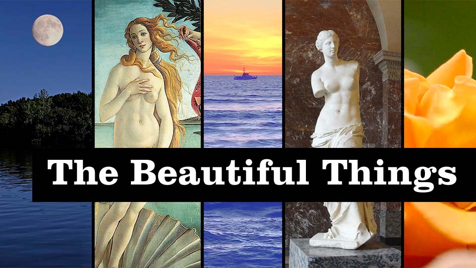 The Beautiful Things by Eric Wrobbel